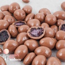 Freeze Dried Blackberries in Belgian Milk Chocolate