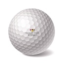 Personalised Golf Balls 3 Pack "Your LOGO"