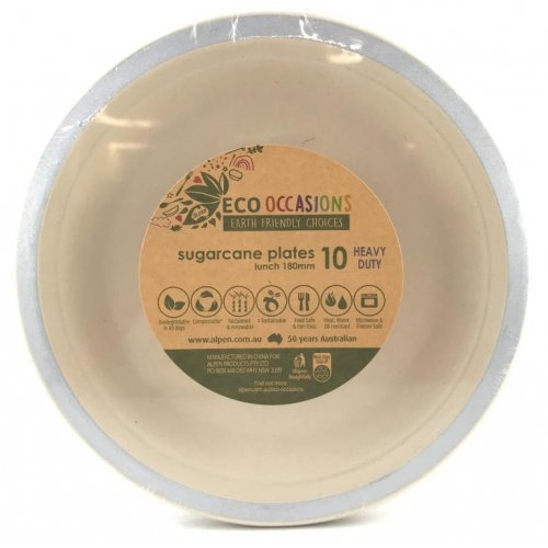 Sugarcane Silver Snack Plates 10 Pack
