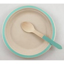 Wooden Mint Green Spoon 10 Pack
