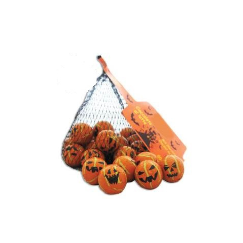 Chocolate Pumpkin 77g (1 Unit)