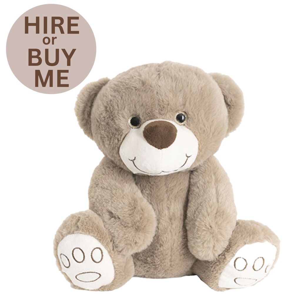 30cm Super Soft Brown Teddy Bear - Hire or Buy (Bear Hire (minimum hire order of 3))