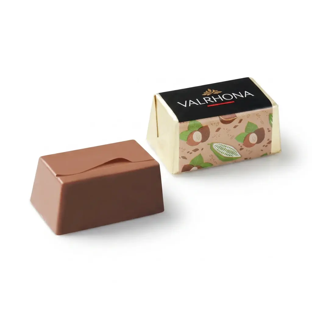 Valrhona Lingot Gianduja 216 pcs