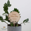 Personalised Mother's Day Planter Stick Style 1