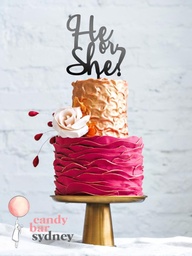 He or She Baby Reveal Cake Topper