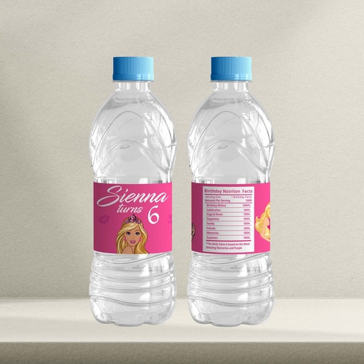 Barbie Water Bottle Sticker