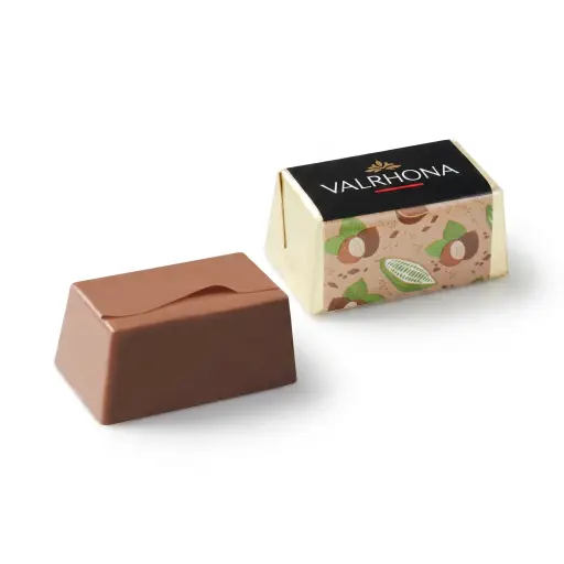 Valrhona Lingot Gianduja 216 pcs